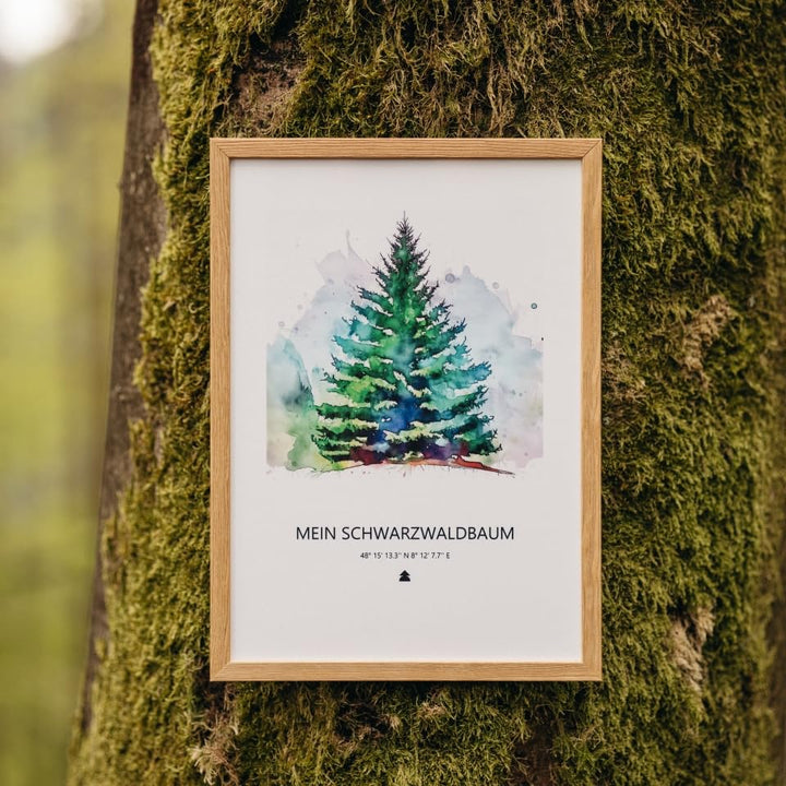 Baumspende & Aquarell 'Tanne Classy' (Druck im Rahmen) | Nachhaltig | Geschenk Geburtstag, Hochzeit,