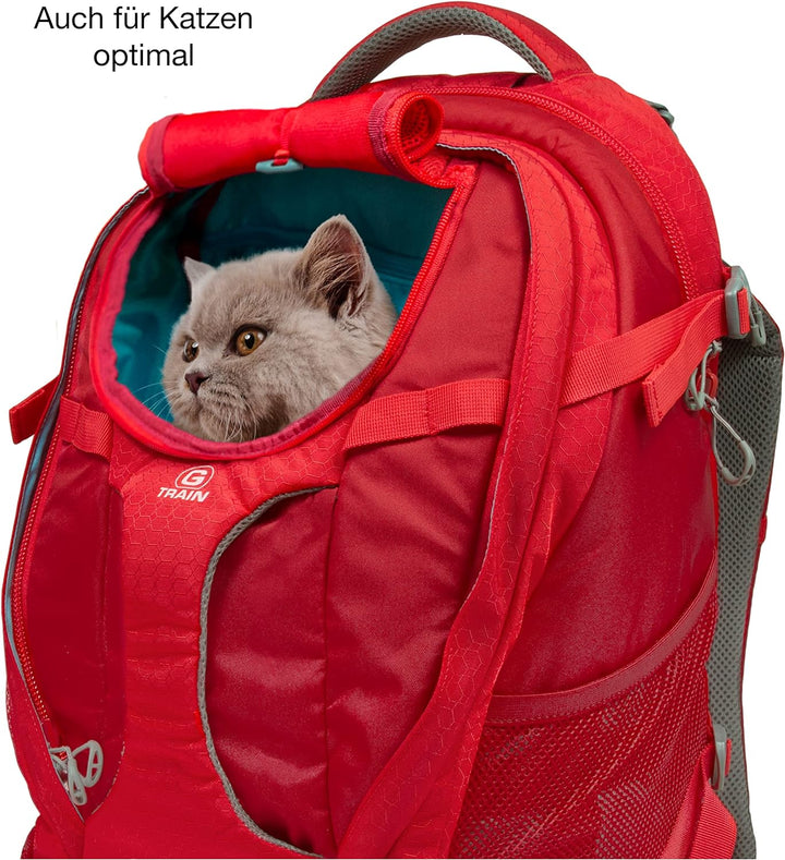 Kurgo G-Train Rucksack, Mit integriertem Hundefach, Wasserfester Boden, Mit Flaschenhaltern, Für Hau