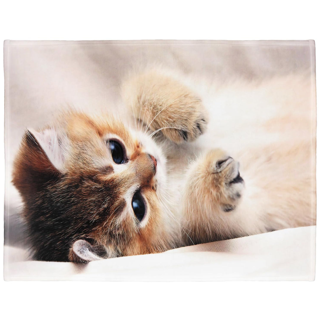 YISUMEI Tiermotiv Kuscheldecke Süsse Katze Weich Bequem Kunstfell Decke Kuscheldecken für Couch Bett