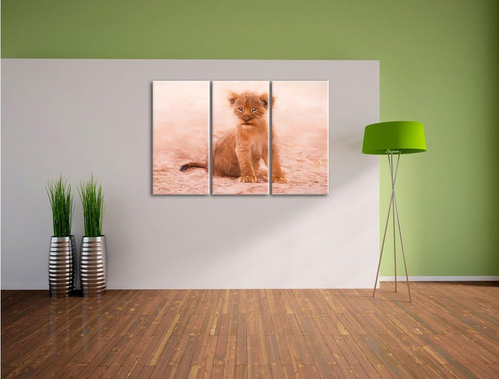 Pixxprint Verlassenes Löwenbaby als Leinwandbild/Grösse: 3 Teilig (120x80) cm/Wandbild/Kunstdruck/fe