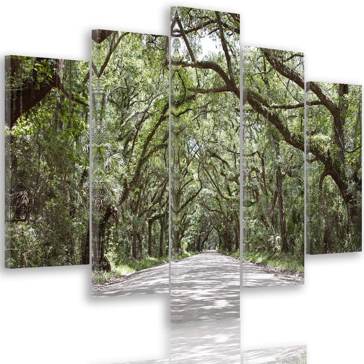 Feeby Wanddeko XXL Natur Leinwandbild 5 Teilig Landschaft Bäume Weg Allee grün 100x70 cm Leinwandbil