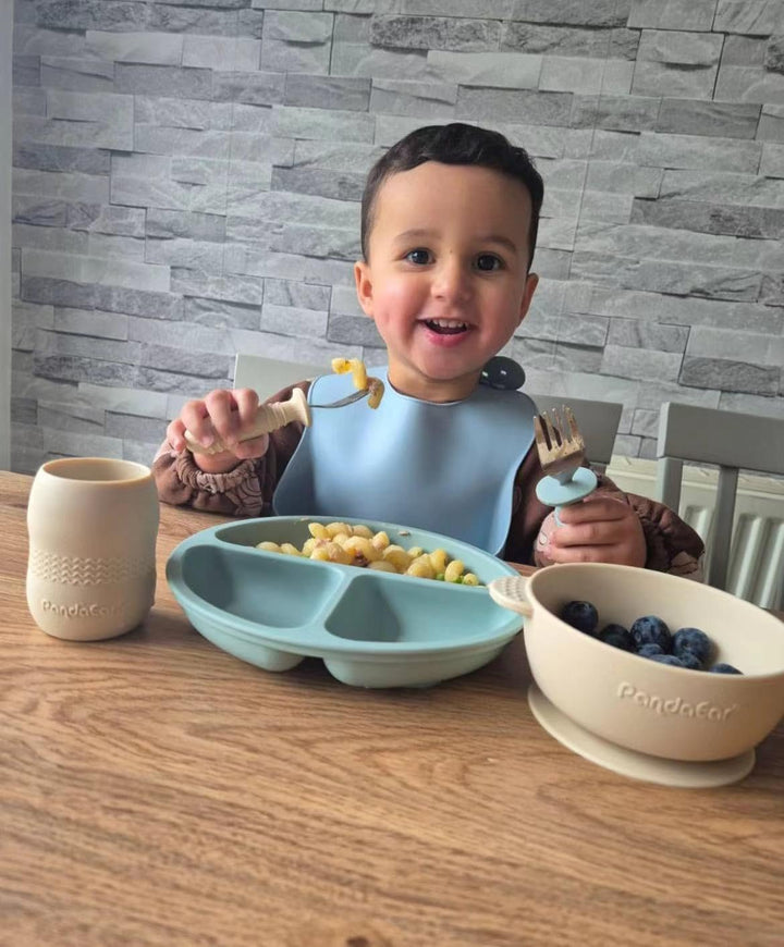 PandaEar Silikon Baby Geschirrset mit Saugnapf, 2 Unterteilt Kinderteller + 2 Saugnäpfe Baby Breisch