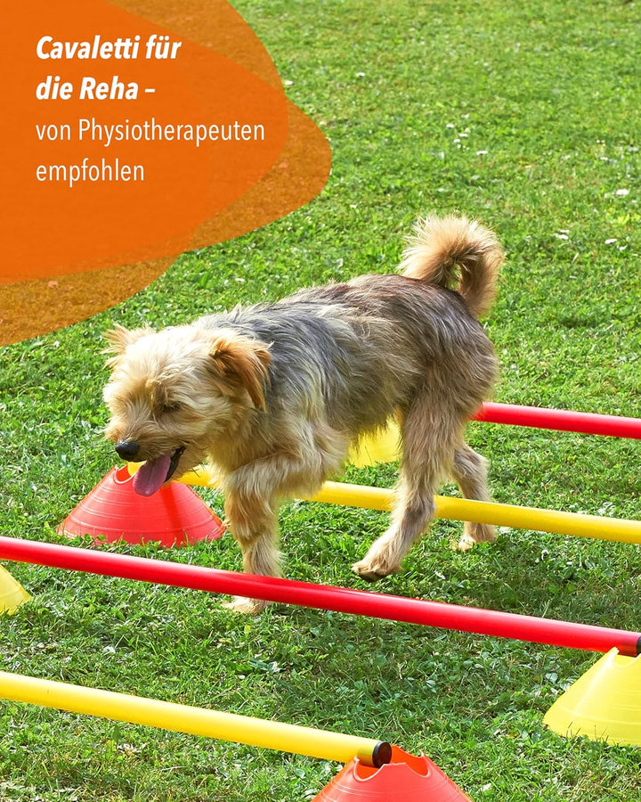 Cavaletti Mini-Hürden 10er Set – Markiermulden Orange & gelbe 50cm Stangen – inkl. Tragetasche – sic
