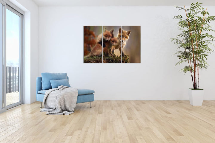 deyoli Kleine Familie von Rotfüchsen Format: 3-teilig 120x80 als Leinwand, Motiv fertig gerahmt auf