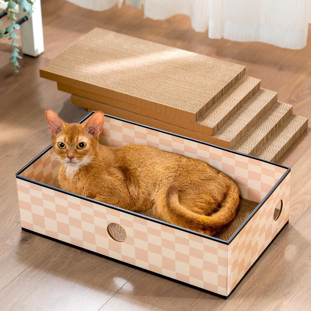 Conlun 5er-Pack Kratzbrett Katze mit Box, Grosses Beidseitiges Design, Interaktive Öffnungen, Sauber