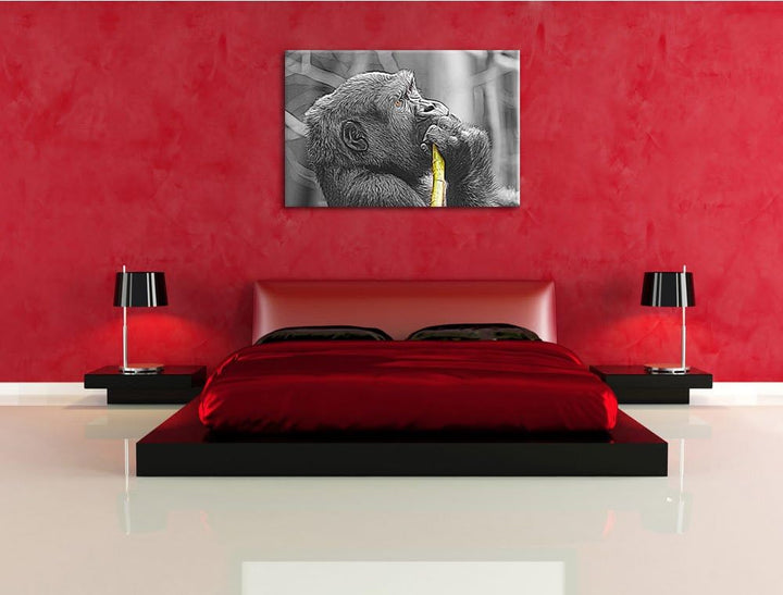 stolzer Gorilla isst schwarz/weiss Deluxe Format: 100x70 cm auf Leinwand, XXL riesige Bilder fertig