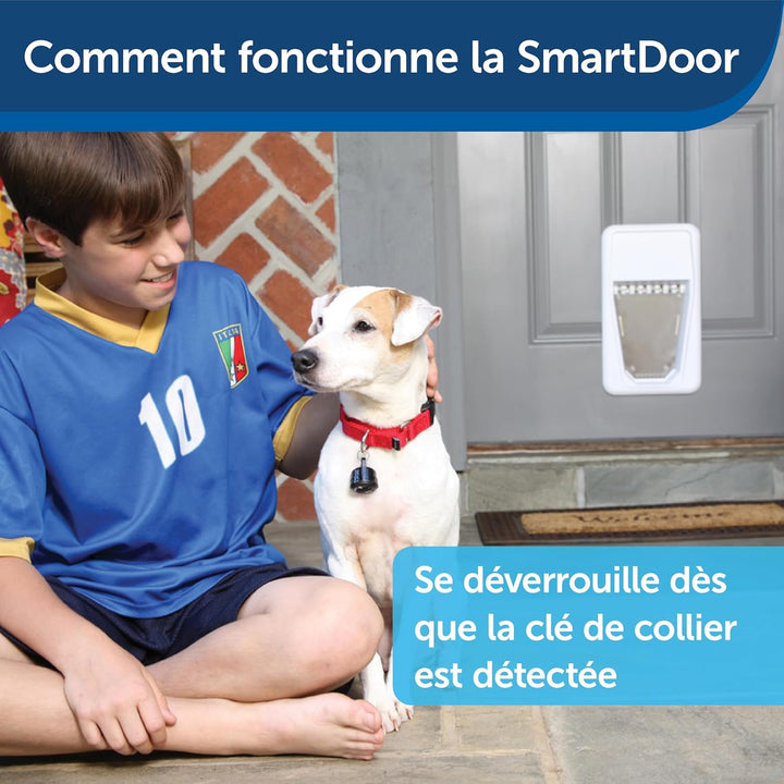 PetSafe SmartDoor Elektronische Hundeklappe, Exklusiver Zugang durch Chip-Erkennung im SmartKey Hals