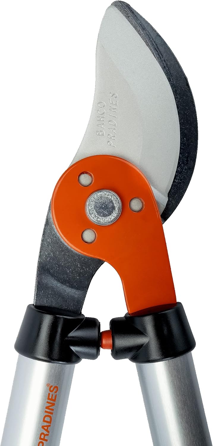 Podadera Expert 60 Cm Fr