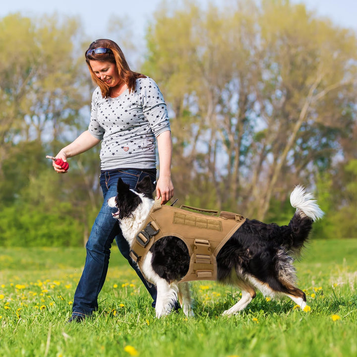 AIWAI Taktisches Hundegeschirr für mittlere und grosse Rassen, Molle-Panels Metallschnalle, Weste mi