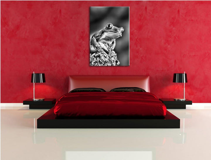 Pixxprint Grüner Rotaugen Frosch als Leinwandbild/Grösse: 100x70 / Wandbild/Kunstdruck/fertig bespan