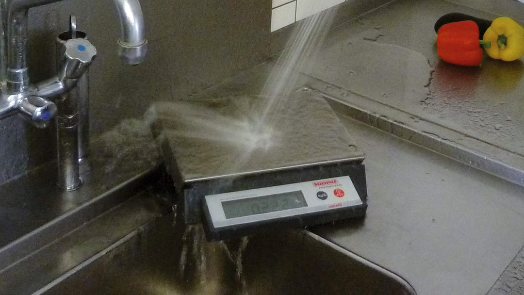 SOEHNLE PROFESSIONAL Kompaktwaage 9115 Max.12kg - 2g, 9115 Max.12kg