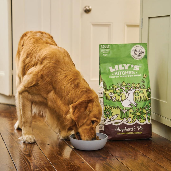 Lily‘s Kitchen Getreidefreies Vollwertiges Trocken Hundefutter für ausgewachsene Hunde (12kg) Lamm S