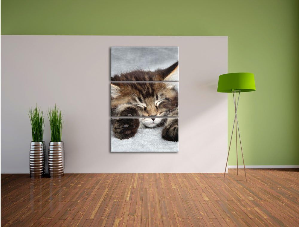 Pixxprint Süsse Baby Katze als Leinwandbild/Grösse: 3 Teilig (120x80) cm/Wandbild/Kunstdruck/fertig