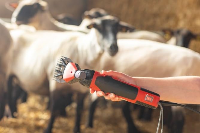Kerbl Schafschermaschine FarmClipper Profi, 6-Gang Schermaschine für Schafe 350W