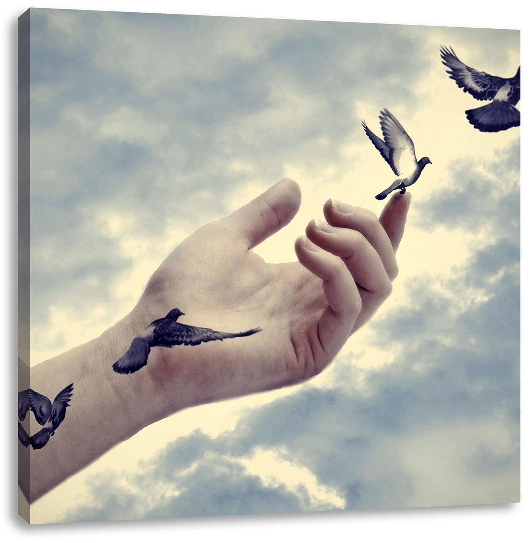 Pixxprint Vögel fliegen in die Freiheit, Format: 70x70 auf Leinwand, 70x70