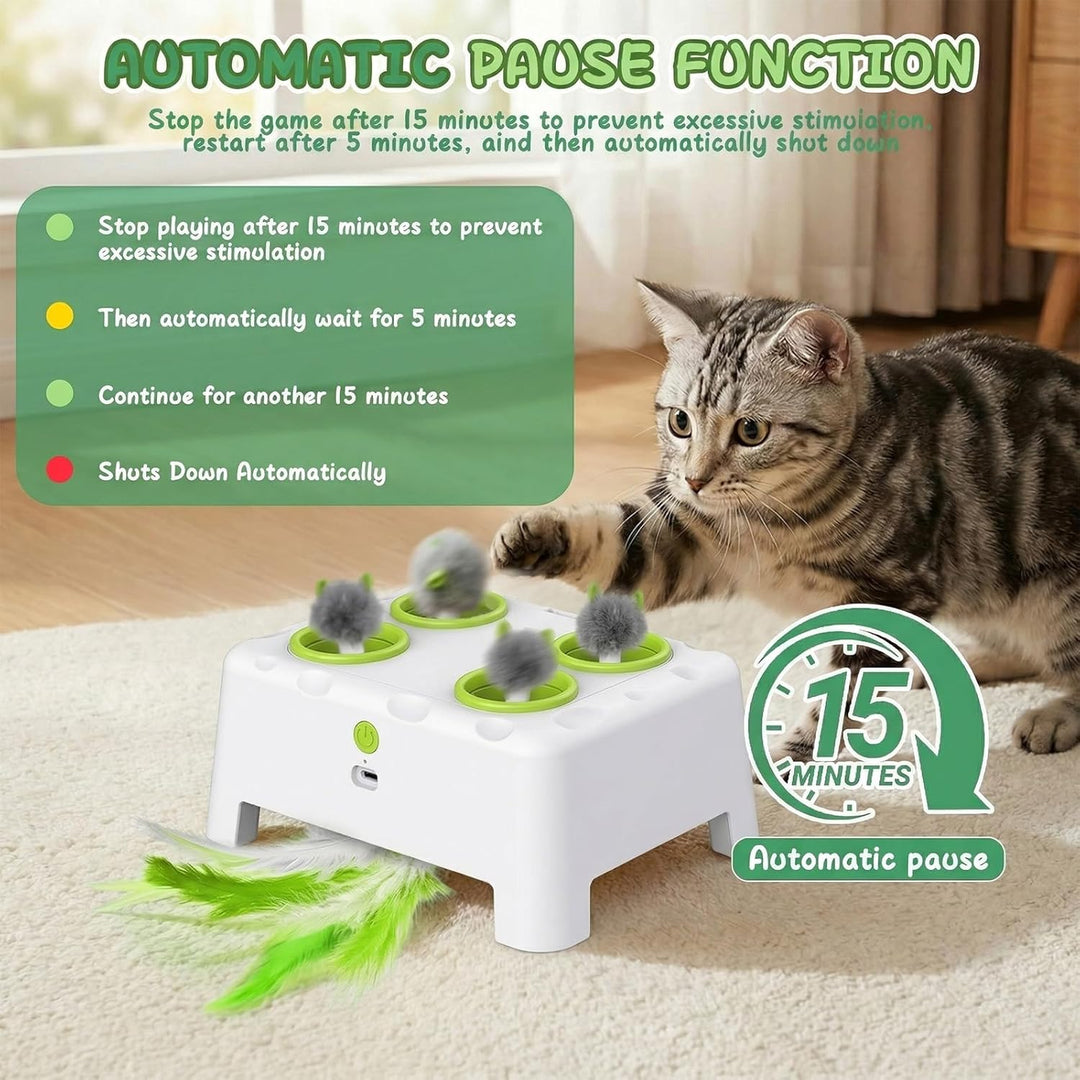 2-in-1 Automatisches Katzenspielzeug, Interaktives Katzenspielzeug, Wiederaufladbares Katzenmaus-Spi