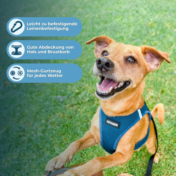 Voyager Step-In Air Hundegeschirr by Best Pet Supplies - All Weather Mesh Step in Vest Harness für k