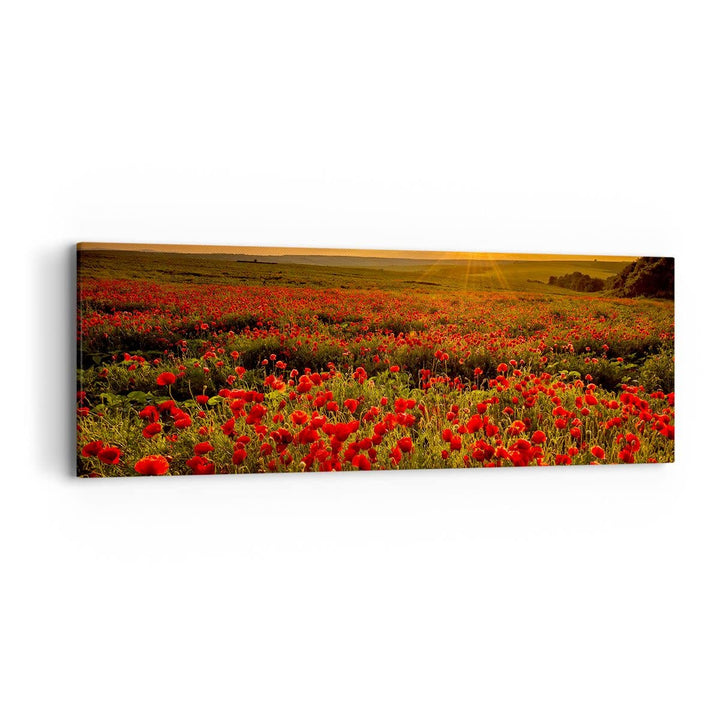 Panorama Bilder auf Leinwand Mohn Blume Wiese Leinwandbild mit Rahmen 90x30cm Wandbilder Dekoration