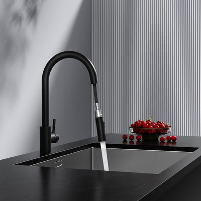 Rainsworth Schwarz Wasserhahn Küche mit Brause Ausziehbar - Hochdruck Küchenarmatur mit Zwei Wassers