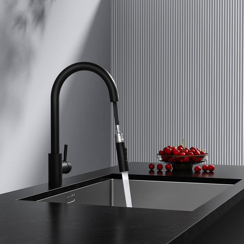 Rainsworth Schwarz Wasserhahn Küche mit Brause Ausziehbar - Hochdruck Küchenarmatur mit Zwei Wassers