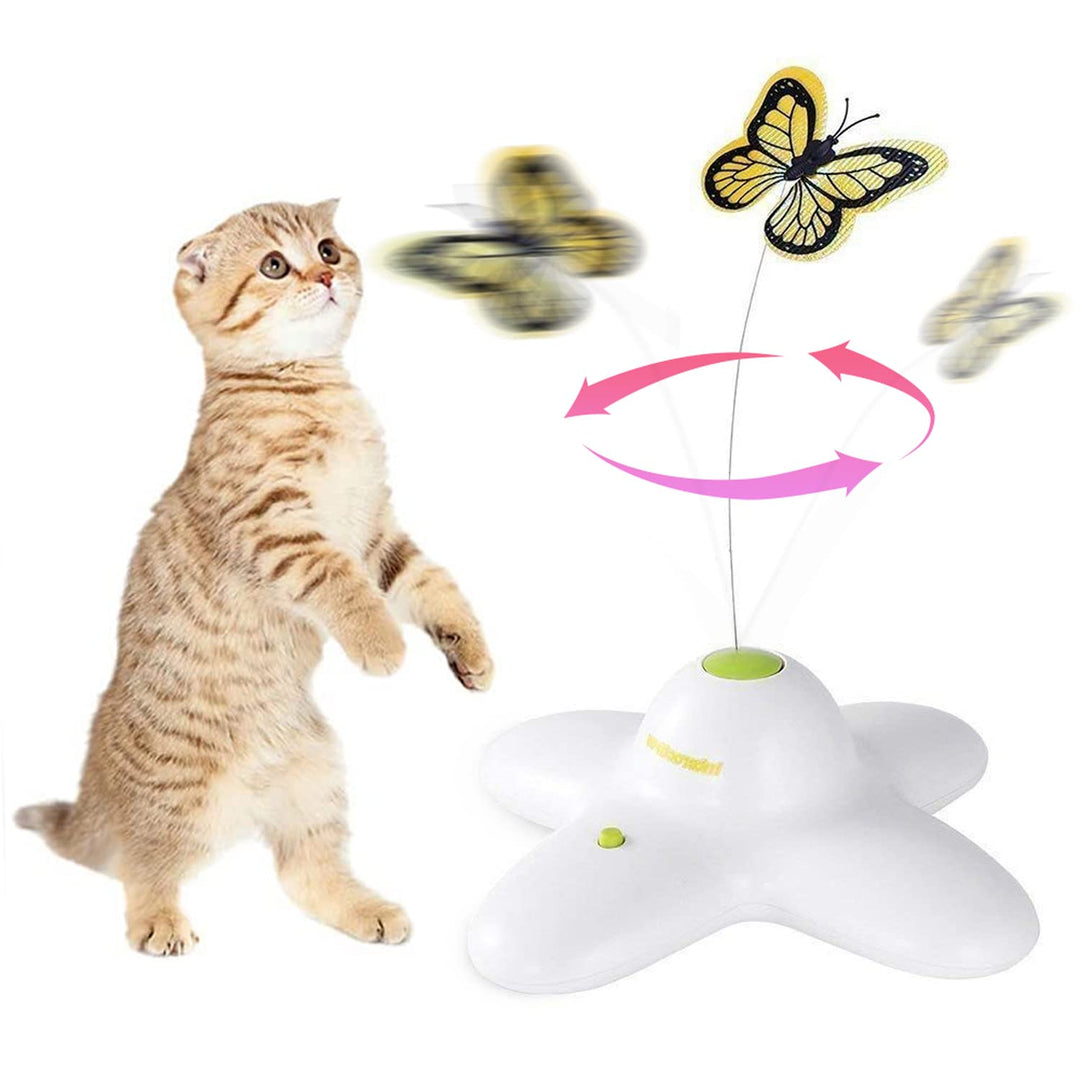 ALL FOR PAWS Katzenspielzeug Interaktive Schmetterling Katze Automatisches Spielzeug Stimulierende K