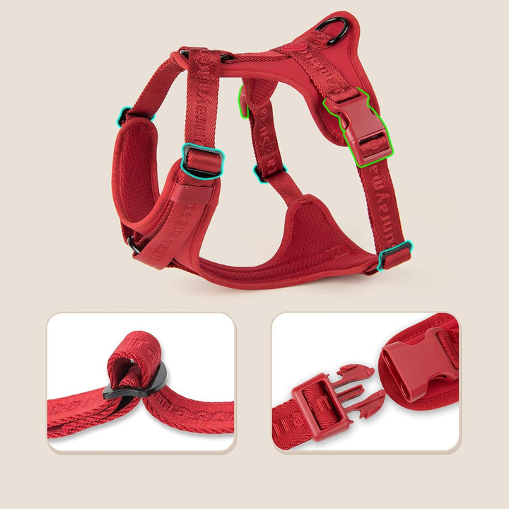 No Pull Hundegeschirr mit weicher Lycra-Polsterung, atmungsaktiver Komfortweste aus Mesh, Verstellba