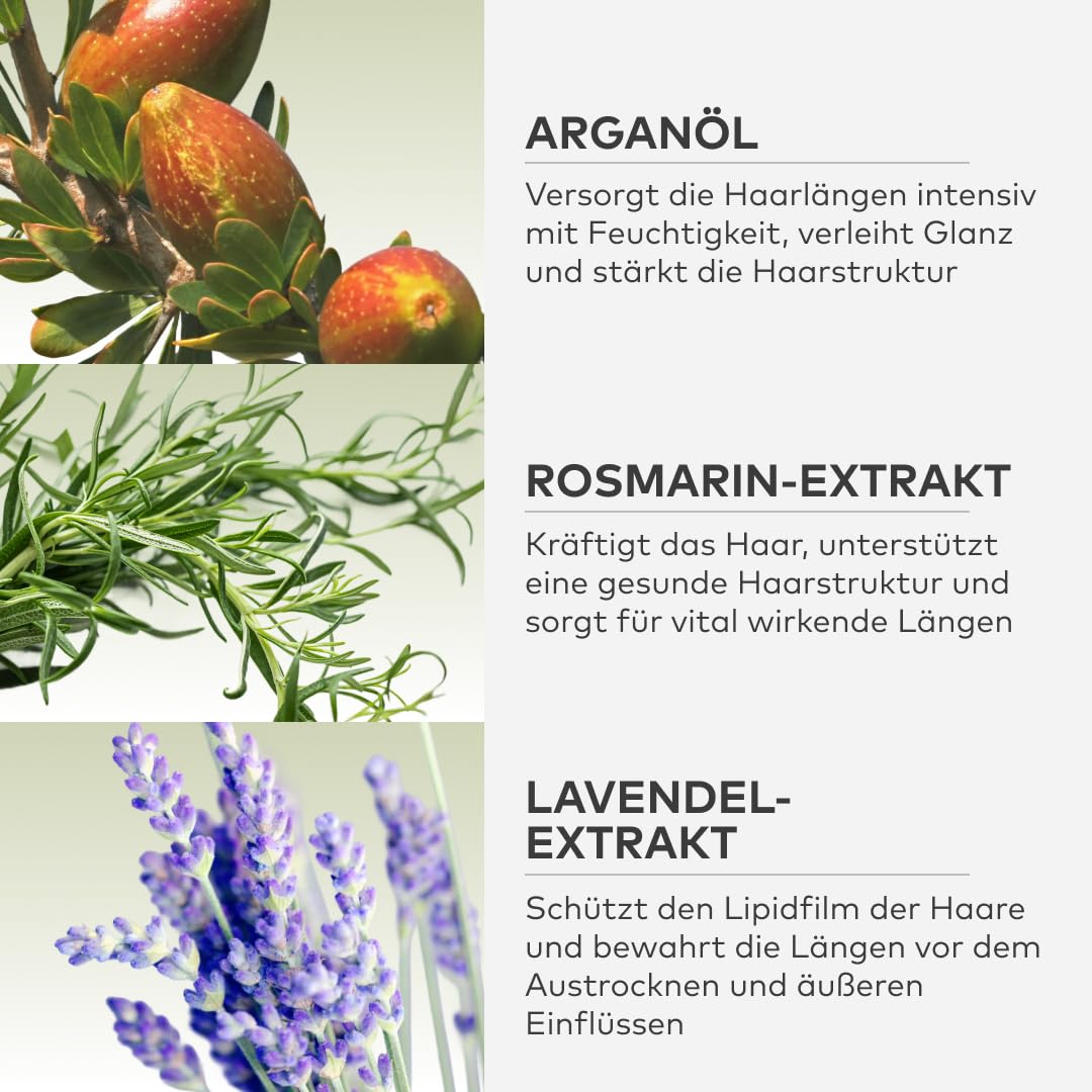 Tiefenpflege Haarmaske &amp; Haarkur – Feuchtigkeitsspendende Repair-Maske für strapaziertes Haar – glät