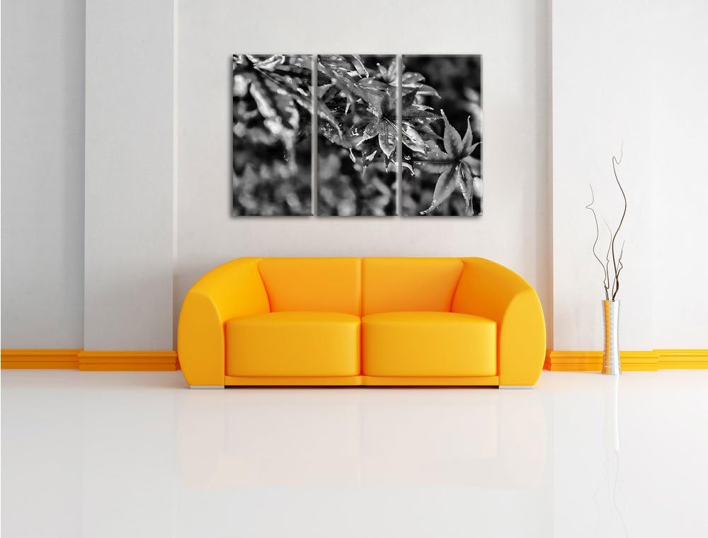 Pixxprint Ahorn im Sonnenlicht als Leinwandbild/Grösse: 3 Teilig (120x80) cm/Wandbild/Kunstdruck/fer