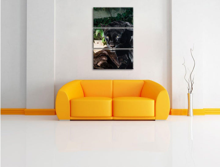 Pixxprint schwarzer Panther 3-Teiler Leinwandbild 120x80 Bild auf Leinwand