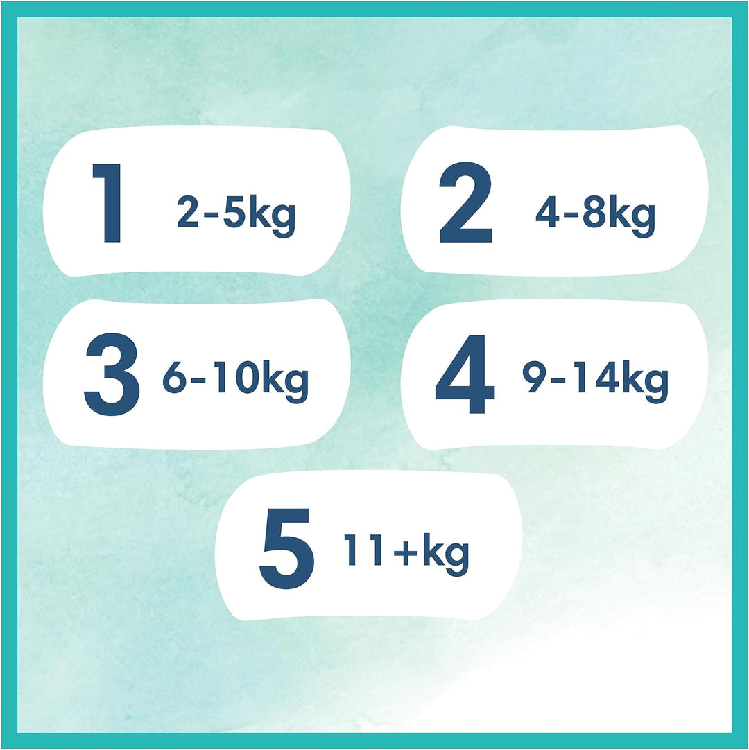 Pampers Baby Windeln Grösse 2 (4-8 kg) Harmonie, HALBMONATSBOX, Sanfter Hautschutz Und Pflanzenbasie