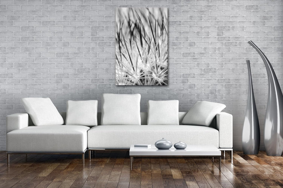 deyoli Nadeln eines Kaktus Format: 80x60 Effekt: Schwarz/Weiss als Leinwand, Motiv fertig gerahmt au