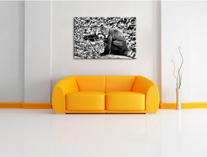 Pixxprint Niedlicher roter Panda als Leinwandbild/Grösse: 100x70 / Wandbild/Kunstdruck/fertig bespan