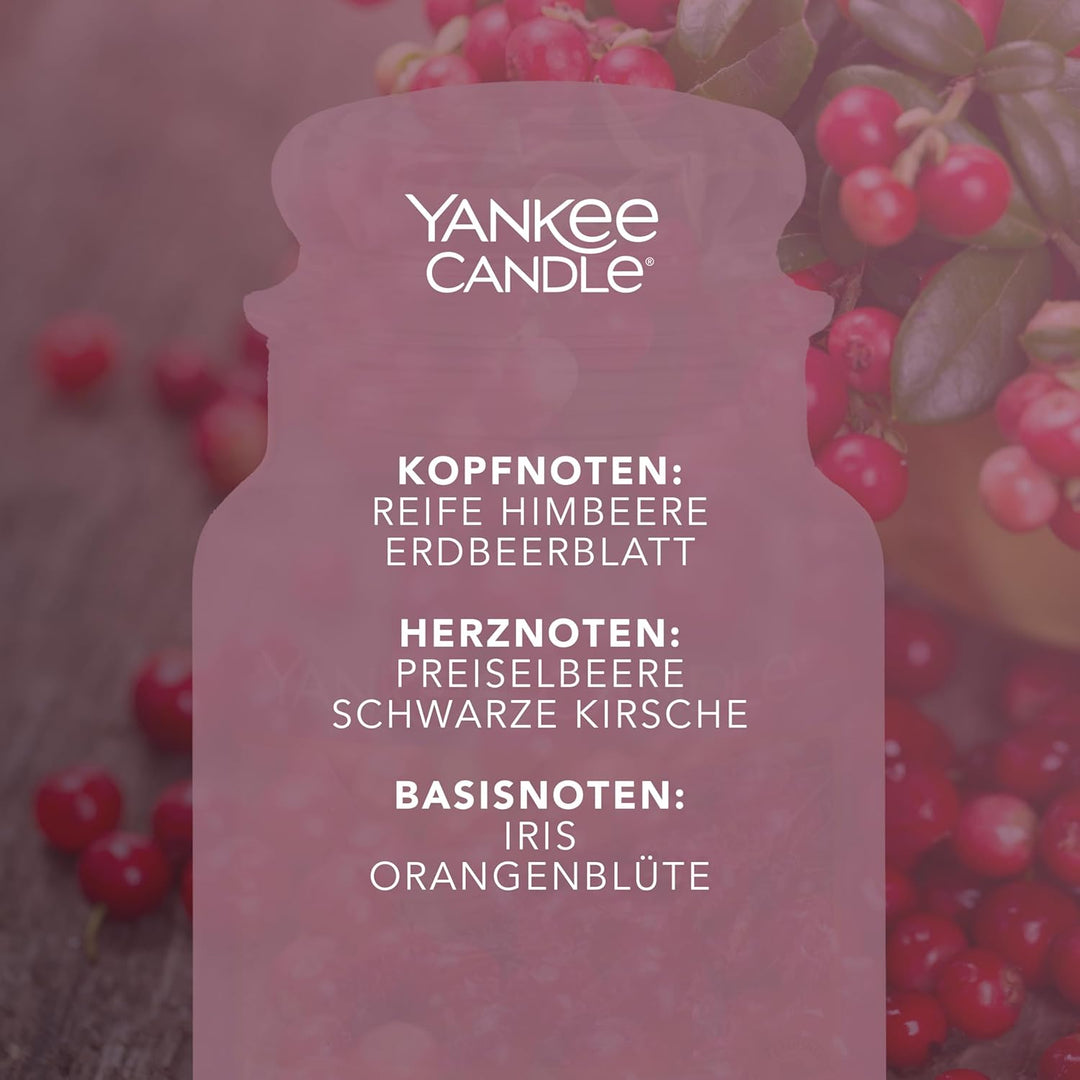 CLASSIC LARGE JAR CRANBERRY CHUTNEY - AMZ-EXCL, CRANBERRY CHUTNEY