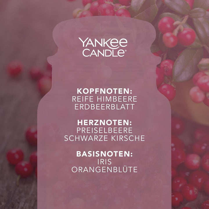 CLASSIC LARGE JAR CRANBERRY CHUTNEY - AMZ-EXCL, CRANBERRY CHUTNEY