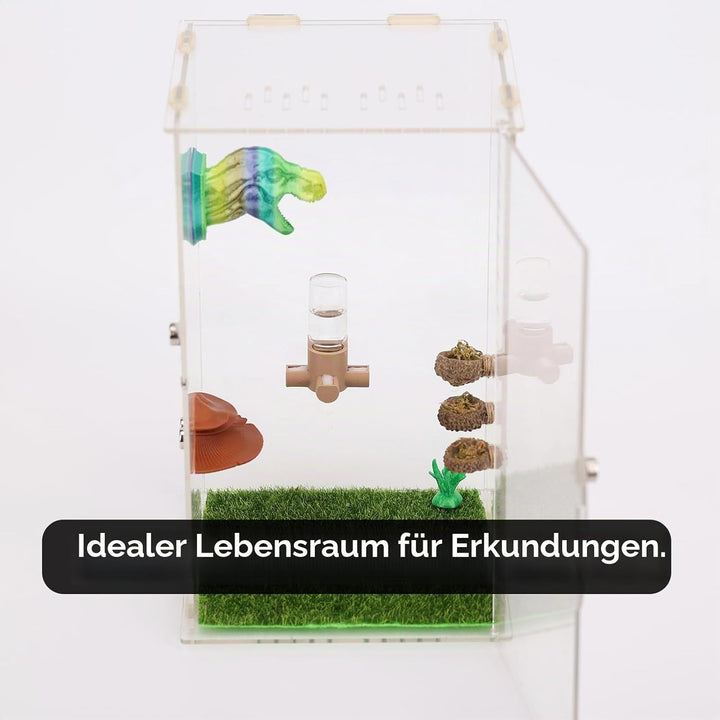 Springspinnen-Wasserspender, magnetischer Futterspender zum Aufhängen, geeignet für Springspinnen, V