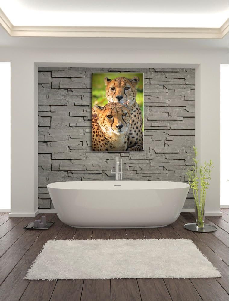 Pixxprint schönes Geparden-Paar auf Leinwand, XXL riesige Bilder fertig gerahmt mit Keilrahmen, Kuns