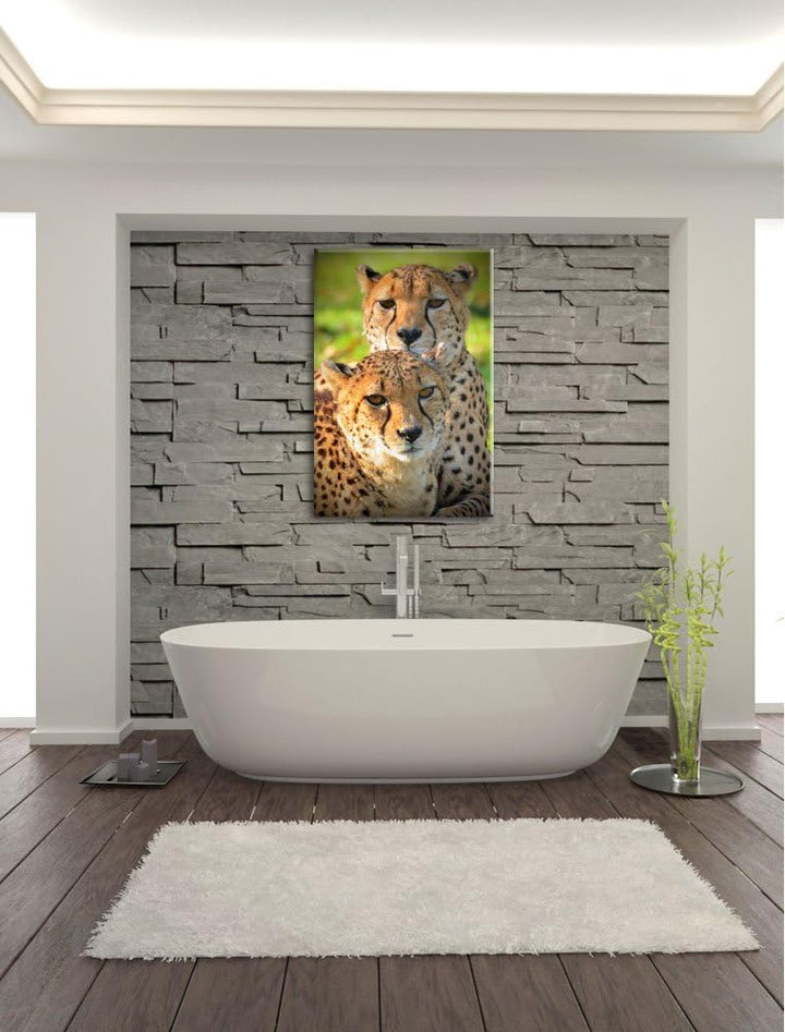 Pixxprint schönes Geparden-Paar auf Leinwand, XXL riesige Bilder fertig gerahmt mit Keilrahmen, Kuns