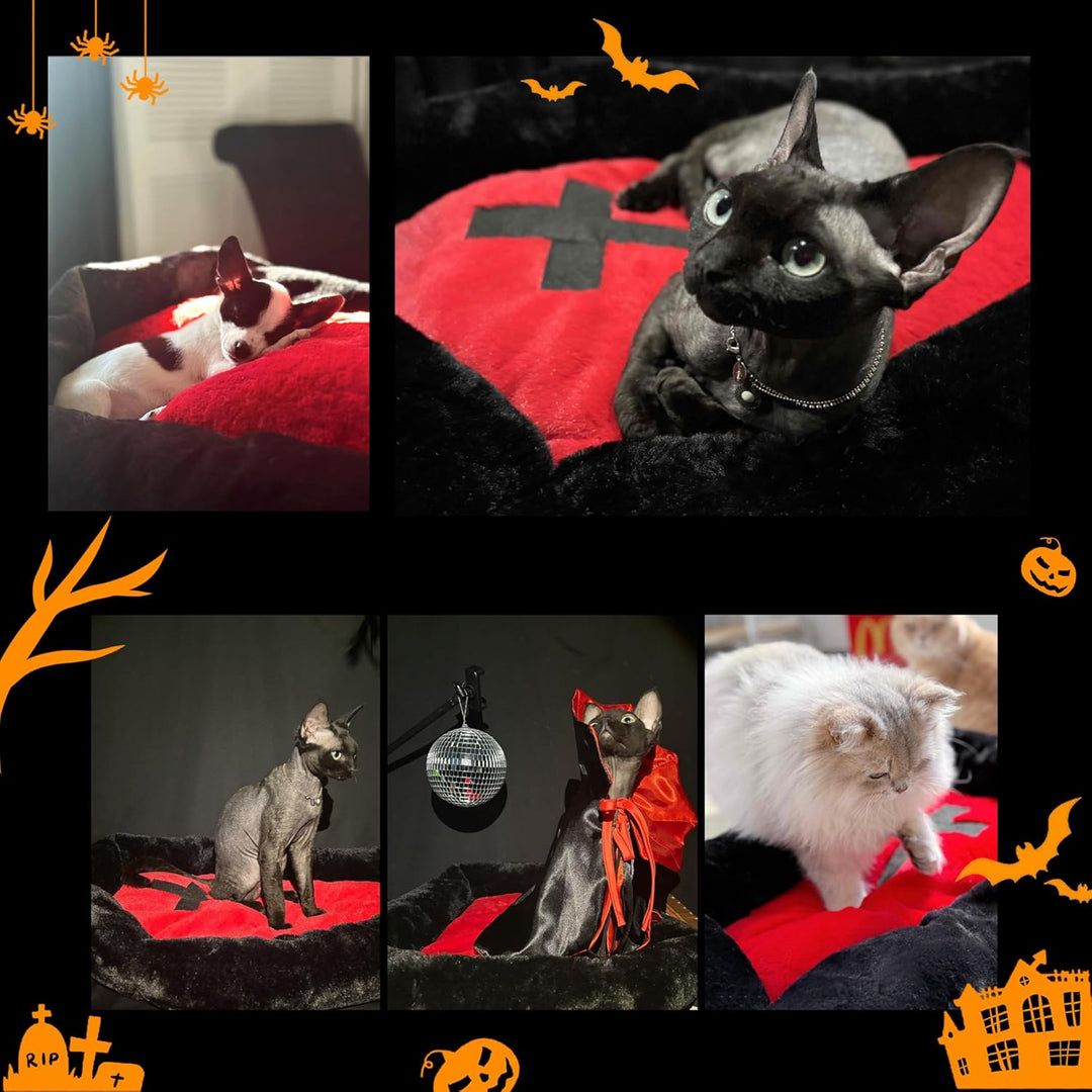 Gothic Cat Beds Fits up to 25 lbs, Washable Coffin Cat Bed, Goth Pet Bed, Halloween House 24 * 16.9