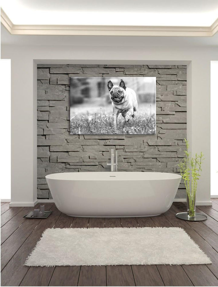 Rennender Mops Kunst B&W, Format: 100x70 auf Leinwand, XXL riesige Bilder fertig gerahmt mit Keilrah
