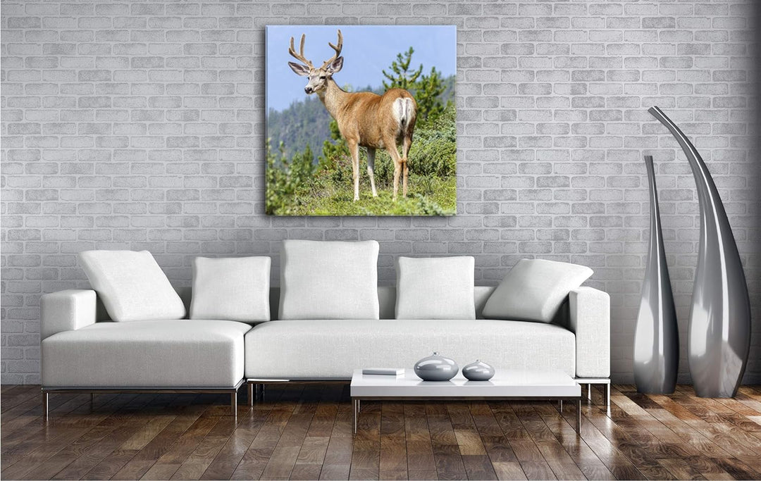 deyoli Beeindruckender Elch Format: 60x60 als Leinwandbild, Motiv fertig gerahmt auf Echtholzrahmen,