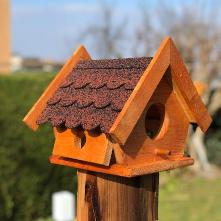DARLUX Eichhörnchen Futterhaus wetterfest und stabile, Handmade aus eigener Produktion, Futterstatio