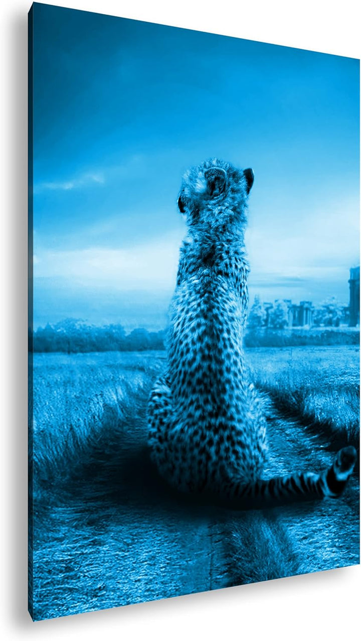 deyoli einsamer Gepard in schöner Landschaft Format 80x60 Effekt: Monocrome Blau als Leinwandbild, M