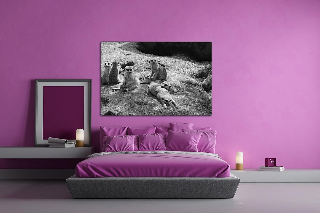 deyoli niedliche Erdmännchen Familie Effekt: Schwarz/Weiss im Format: 80x60 als Leinwandbild, Motiv