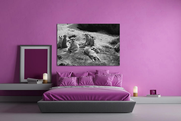 deyoli niedliche Erdmännchen Familie Effekt: Schwarz/Weiss im Format: 80x60 als Leinwandbild, Motiv