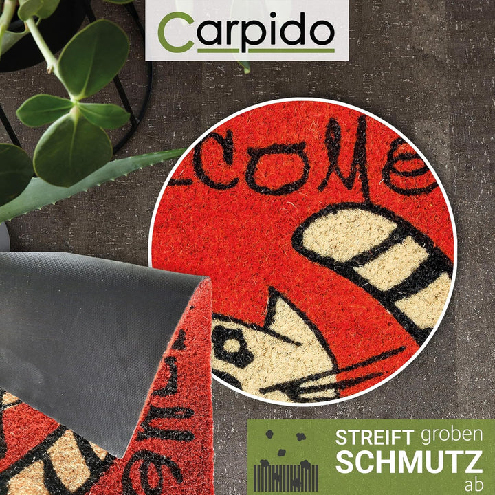Carpido Fussmatte Kokos Katze - Türmatte 40 x 60 cm (Rechteckig) - antibakterielle Eingangsmatte nat