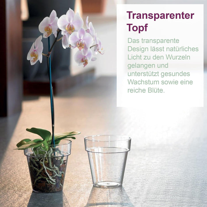 Kalapanta 5 transparente Plastiktöpfe für Orchideen mit Entwässerungslöchern und 5 Untersetzers (5,