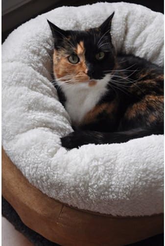 AFP AFPK02136 Katzenbett Lambswool Donut Bed, grau