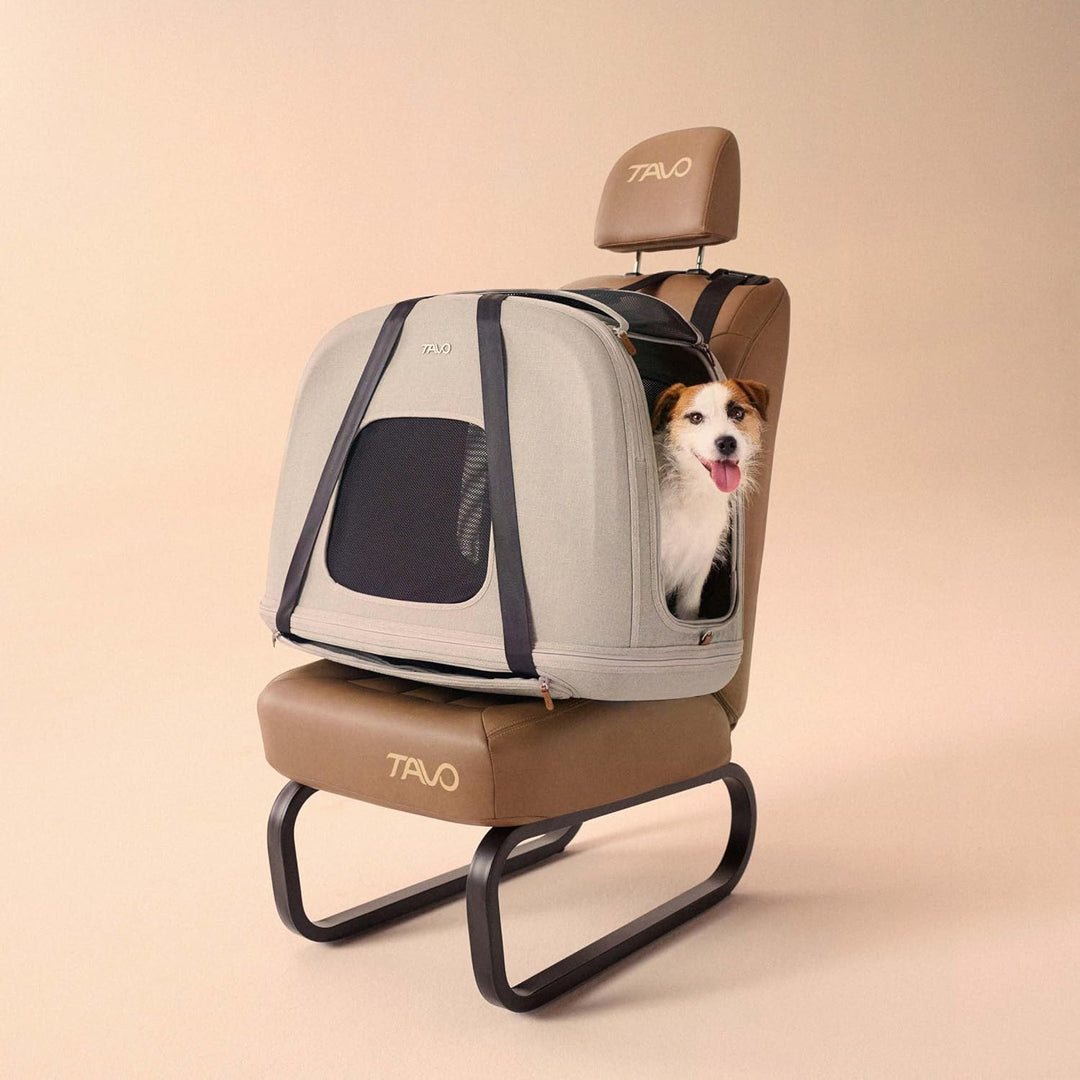 Tavo Crispin Haustier-Transportbox Small – Crash-getestete Auto-Transportbox für Hunde &amp; Katzen, ISO