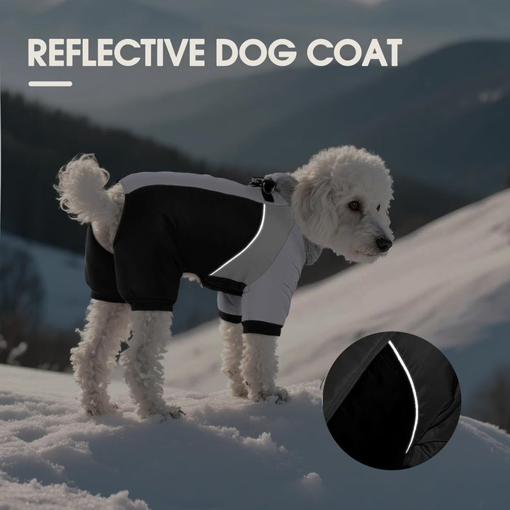 Kuoser Wasserdichter Hundemantel - Wärmer Für Kleine Hunde, Winter Hundemantel Mit Geschirr, Moden H