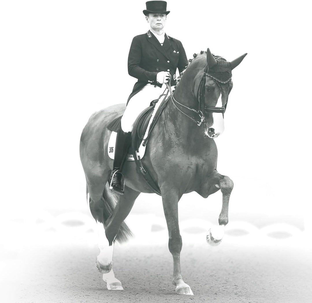 Veredus Absolute Dressage Velcro Rear Brushing Boot Schwarz M, Schwarz M